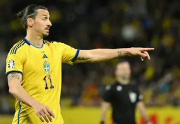 Senior service: Sweden's Zlatan Ibrahimovic in action on Friday