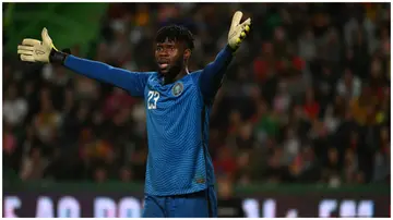 Francis Uzoho