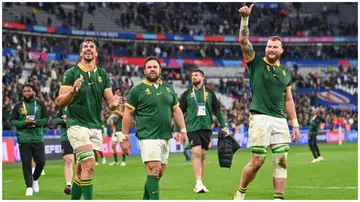 Springboks, South Africa, Rugby World Cup, England