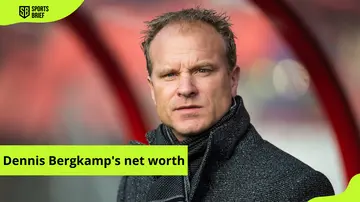 Dennis Bergkamp's net worth