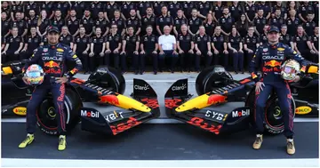 Max Vertsappen, Red Bull Racing, Sergio Perez, Sophie Kumpen, Carola Martinez, Brazil GP, Abu Dhabi GP