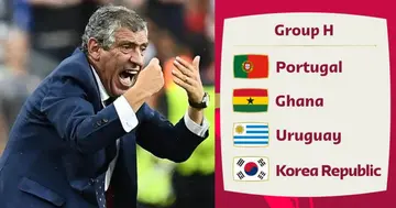 2022 World Cup, Portugal, Coach, Fernando Santos, Reacts, Drawing, Ghana, Uruguay, South Korea
