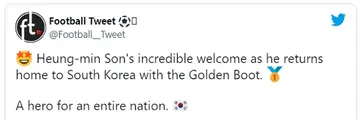 Heung-Min Son, Receives Heroic Welcome, South Korea, Golden Boot