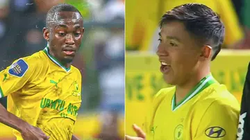 mamelodi sundowns, stellenbosch fc, dstv premiership, marcelo allende, peter shalulile