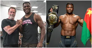 Francis Ngannou, Arnold Schwarzenegger, Cameroon, MMA