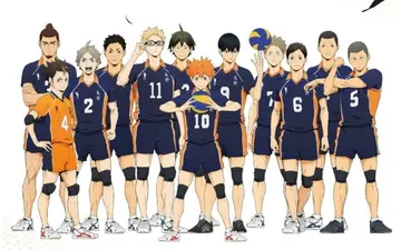 new volleyball anime