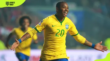 Robinho of Brazil celebrates after scoring