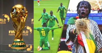 Native Doctor, Kahone, Predict, Senegal, AFCON, Triumph, Ghana, Mali, Others, Qualify, World Cup