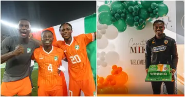 Jean Michael Seri received a hero's welcome from Hull City after winning the Africa Cup of Nations with Ivory Coast.