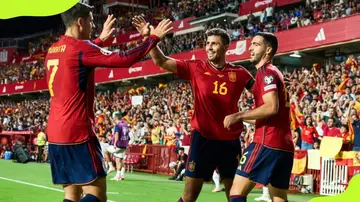 Spain Euro Cup