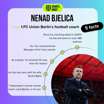 Nenad Bjelica's facts