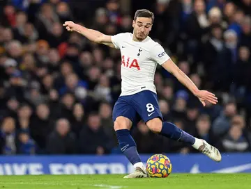 Harry Winks has joined Leicester from Tottenham