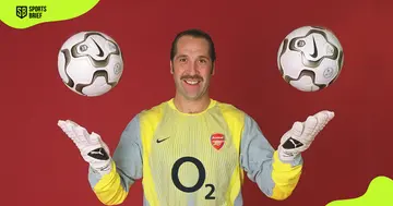 Former Arsenal goalkeeper posing at the poses at the Arsenal training ground