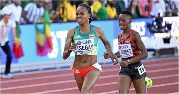 Beatrice Chepkoech, Gudaf Tsegay, World Athletics Championships, 5000 metres women