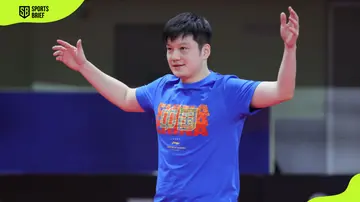 Fan Zhendong's nationality