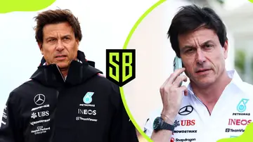 Toto Wolff's age
