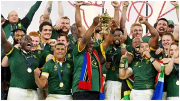 Cyril Ramaphosa, South Africa, Springboks, Rugby World Cup