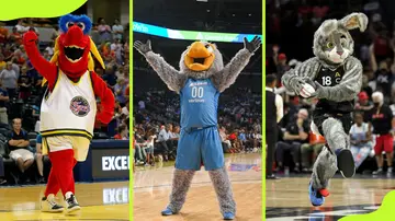 WNBA mascots and their names