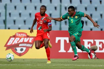 Namibia forward Peter Shalulile (L) is pursued by Cameroon defender Nouhou Tolo during a 2023 Africa Cup of Nations qualifier in Soweto