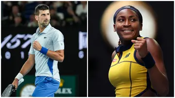 Novak Djokovic and Coco Gauff are in hot form. Photos: Shi Tang and Julian Finney.