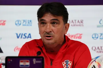 Croatia coach Zlatko Dalic believes his new-look side is still maturing