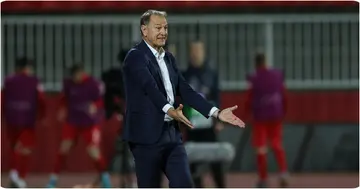 Nigeria, Super Eagles, NFF, Giovanni de Biasi, Coaching, Finidi, FIFA WORLD CUP, Qualification