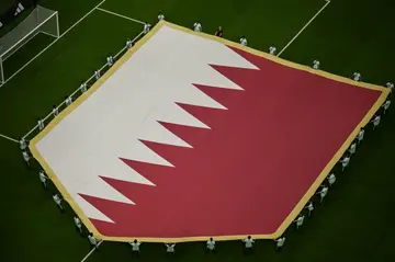 Asian champions Qatar scored just one goal at their own World Cup