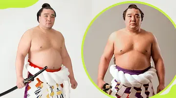 best sumo wrestlers ever