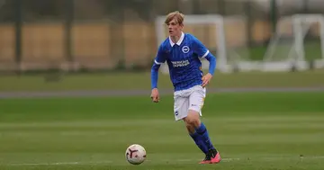 Brighton youngster Toby Collyer. Photo: Instagram/tobycollyer.