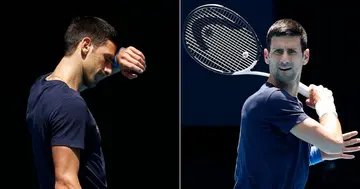 Novak Djokovic, Australian Open, Australia, Tennis, Sport