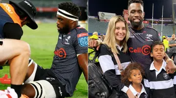 siya kolisi, rachel kolisi, cell c sharks, munster, united rugby championship, rugby championship, 2023, rugby world cup, france