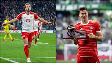 Harry Kane has been compared to Robert Lewandowski in the Champions League.