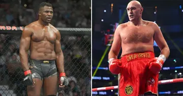Francis Ngannou, Tyson Fury, Calls Made, Blockbuster Fight, MMA, Star, Release, Sport, UFC