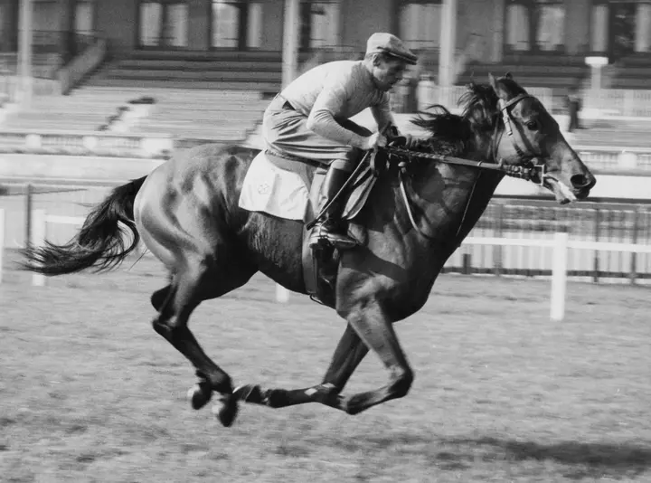 Most successful racehorses of all time