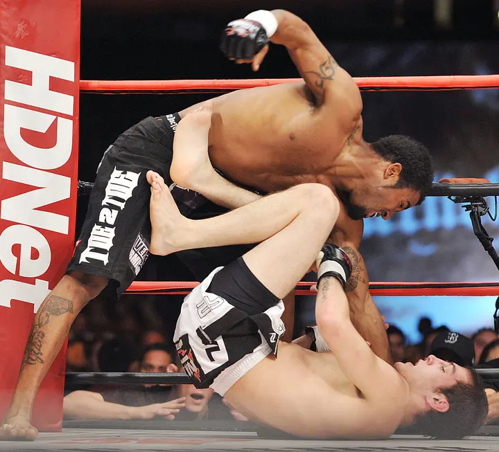 top MMA promotions