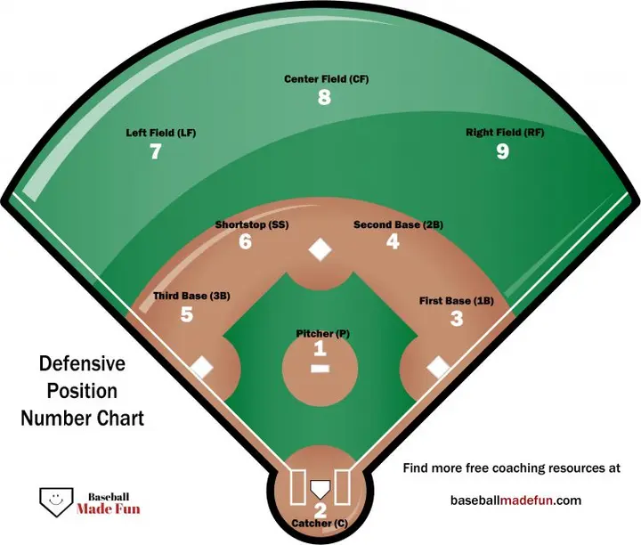 Baseball positions explained: Unraveling the distinct baseball positions