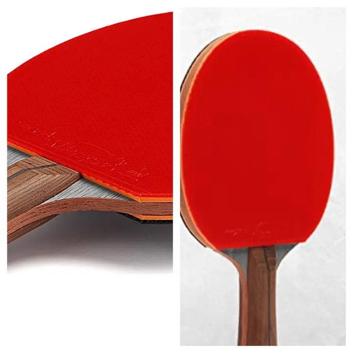 The Butterfly 800 is ranked one of th best paddles for intermediate ping pong players
