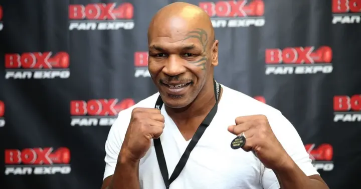 Mike Tyson Harassed By Passenger Before Flight, Video Shows Shocking ...