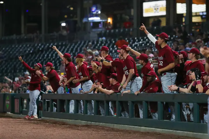 The top 10 best minor league stadiums for a memorable baseball