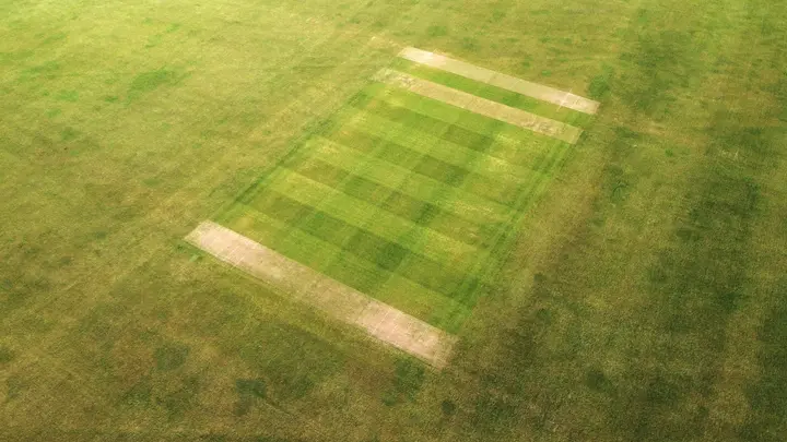 cricket pitch feets markings