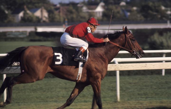 Which is the best race horse of all time? Find out here - SportsBrief.com