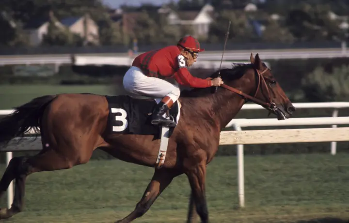 The greatest racehorses of all time