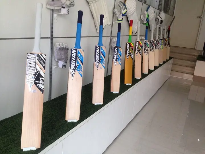 Who makes the best cricket bats?
