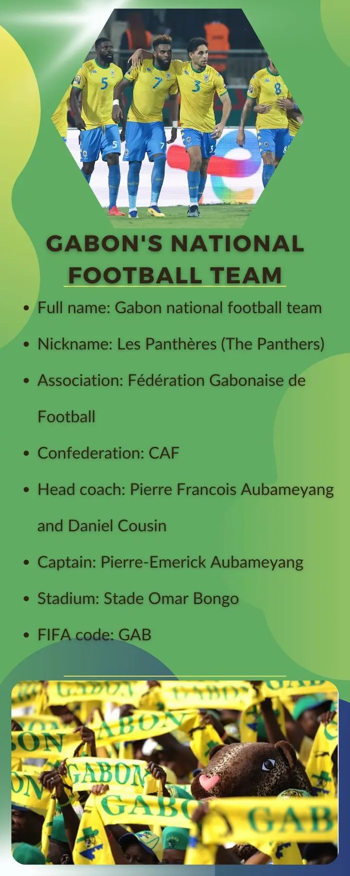 Gabon's national football team