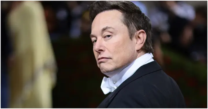 Elon Musk, Glazers Family, Tesla, Manchester United