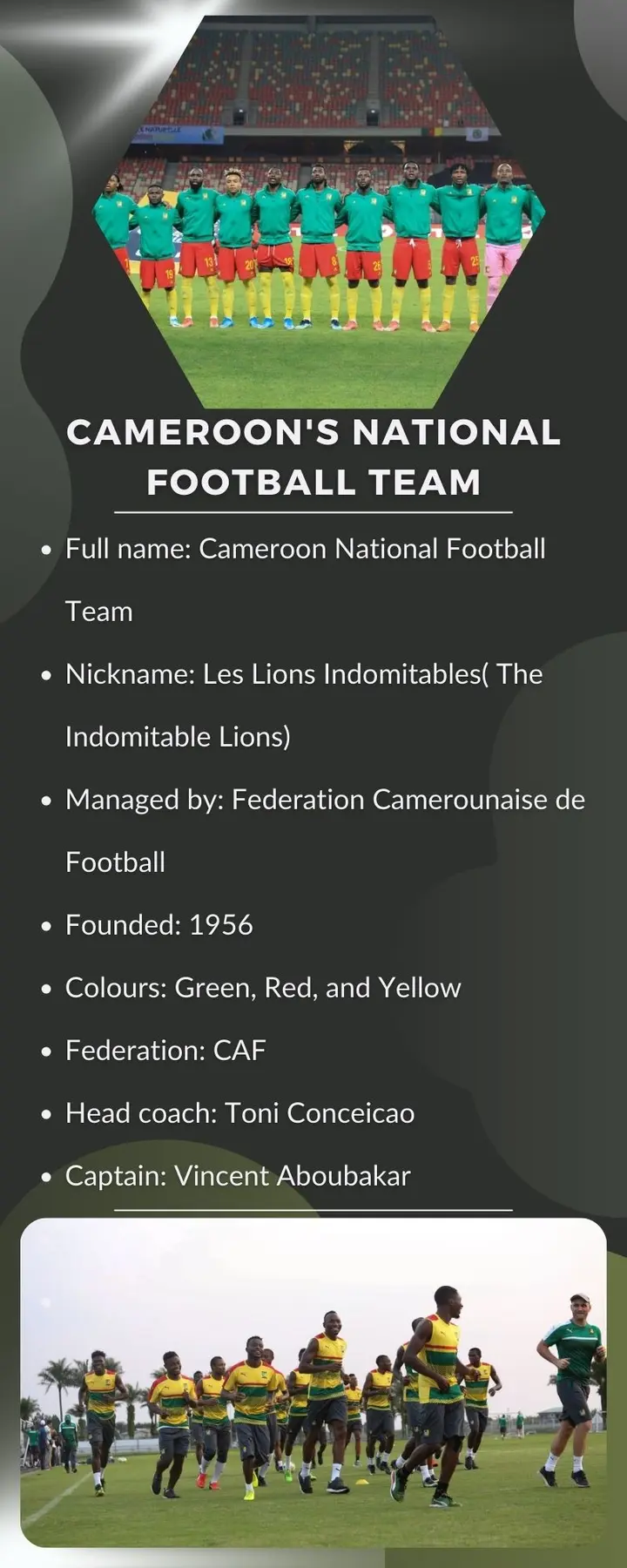 Cameroon's national football team