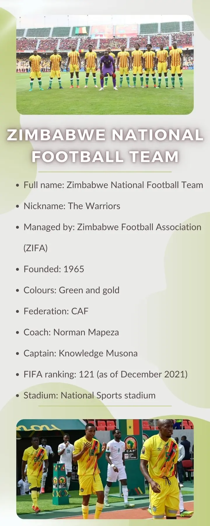 Zimbabwe national football team