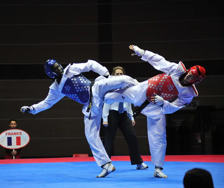 Top 10 Taekwondo fighters in the world