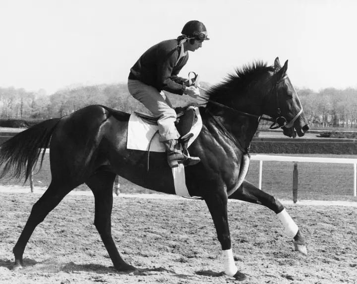Ranking of the best racehorses of all time