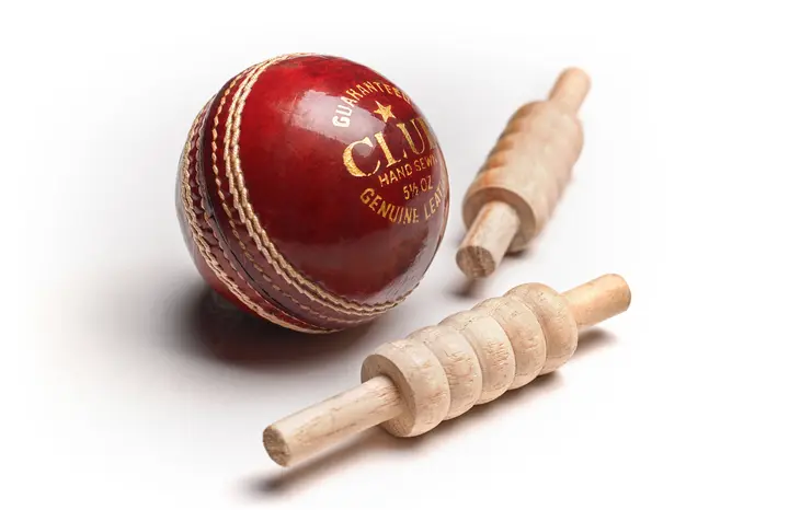 Facts about cricket